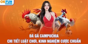 Đá Gà Campuchia - Chi Tiết Luật Chơi, Kinh Nghiệm Cược Chuẩn
